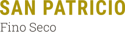 logo_c_san_patricio